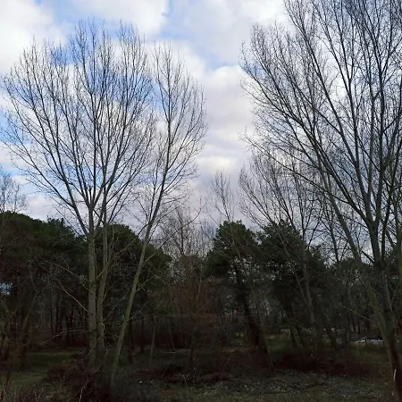 Lovely 2 * Golem (Tirana)