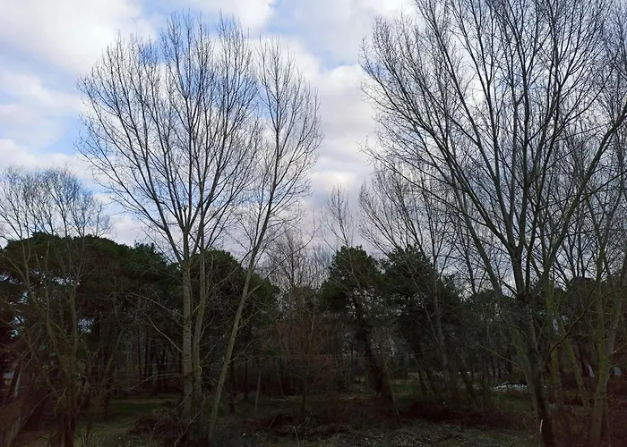 Lovely 2 * Golem (Tirana)